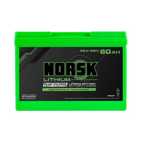36V + 28V 60AH DUAL VOLTAGE LIFEPO4 LITHIUM BATTERY