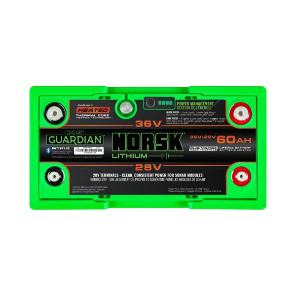 36V+28V-60AH-LIFEPO4-BAT-GDN-H - Image 3